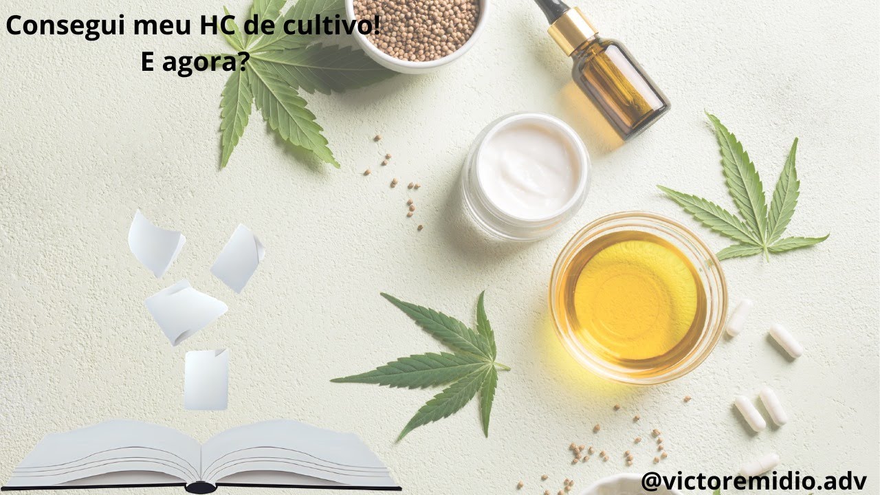 O QUE FAZER APÓS CONSEGUIR O HC DE CULTIVO? 