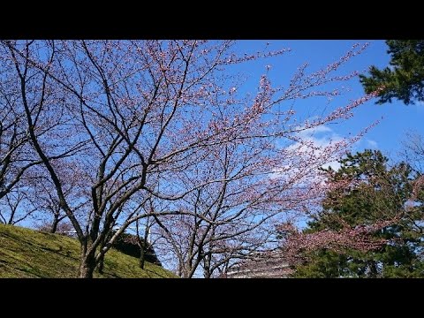 吉松隆／4つの小さな夢の歌