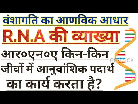 R.N.A और R.N.A का फुलफॉर्म।। RNA and full form of RNA in Hindi!! Lesson ...