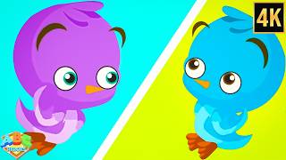 two little dicky birds cartoons abc heroes nursery rhyme