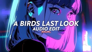 a birds last look (get up here, let's dance) - macabre plaza [edit audio] (tiktok remix)