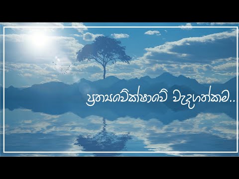 ප්‍රත්‍යවේක්ෂාවේ වැදගත්කම (2022.05.14)