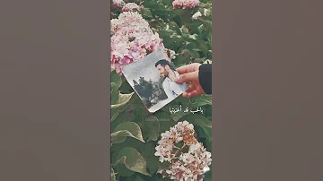 يا وردة ربيتها 