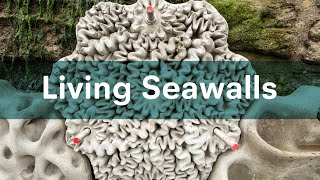 Living Seawalls
