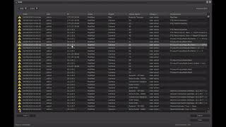 Comprehensive Audits in Digifort