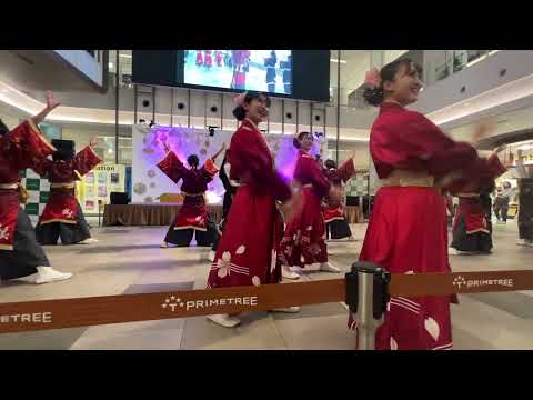 20221127　01プライム音楽祭　常笑　咲幸①