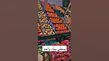 (يسقى بماء واحد) تلاوة خاشعة من سورة الرعد للشيخ عبدالله الغامدي ❤💛💚