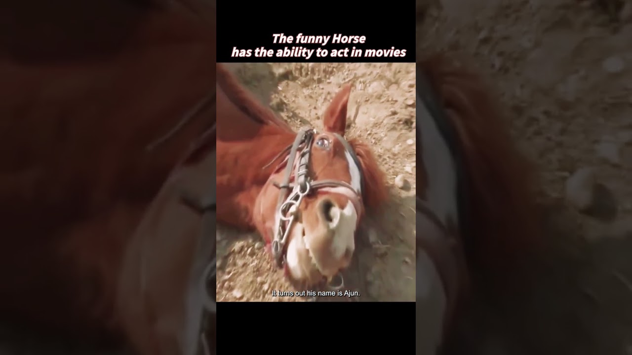 When the best actor award goes to this race horse😁 Part 1 