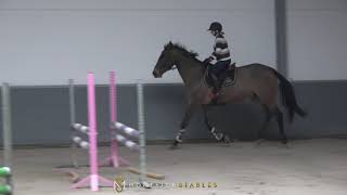 Indoor Training - Viper Vaya Montaigu 27Th November 2020