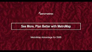 MetroMap Webinar for Small &amp; Medium Businesses - See More, Plan Better