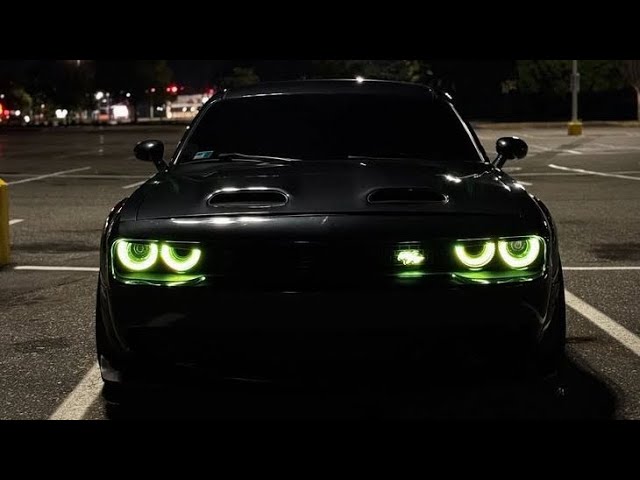 🔥Insomnia Sterbinszky, Mynea, Rackwheel🔥