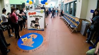 San Jose Animal Care Center - Maddie's Pet Adoption Days 2015