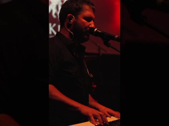 Spread your wings (Live at Freddie days 2025) Short #1