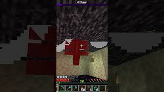 Killing the 4 Bosses in Minecraft | Short Day 4/365 @craftinity1999