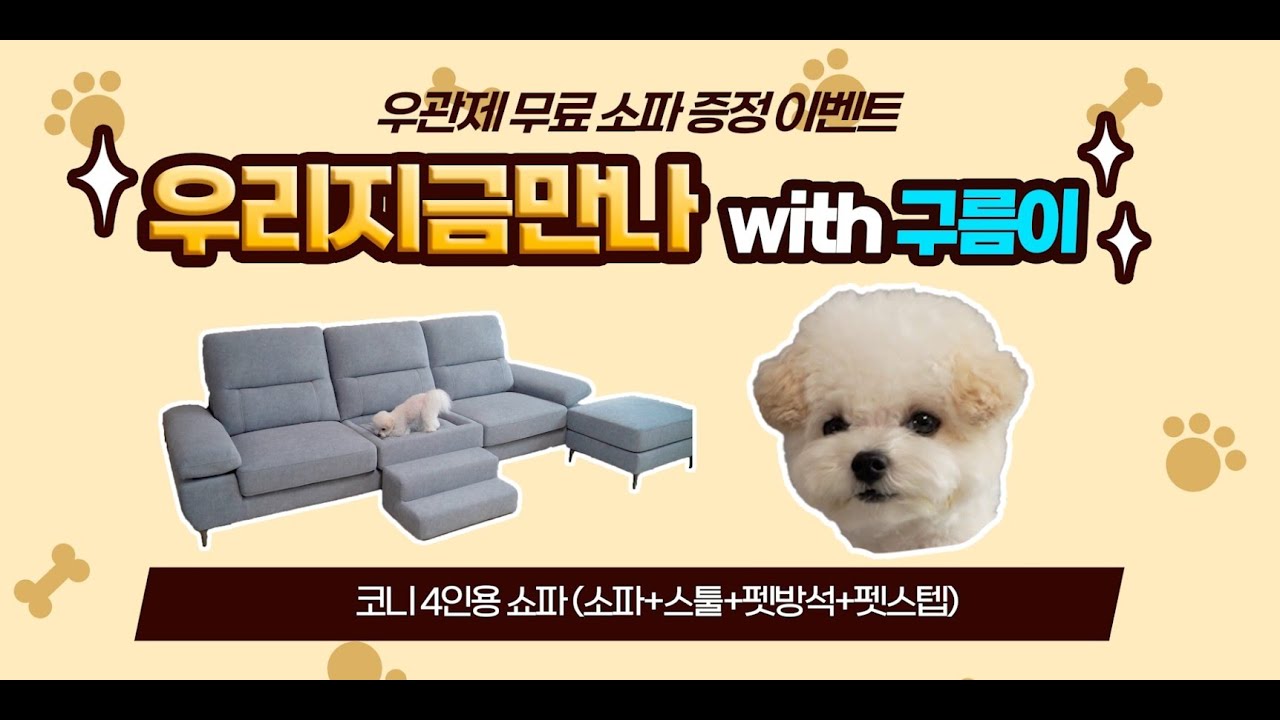 강아지가 더 좋아하는[코니소파]무료증정 이벤트