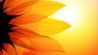 Androcell - Under The Sun
