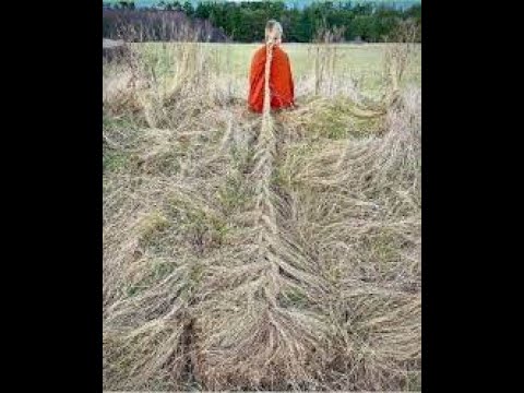 чистка сила