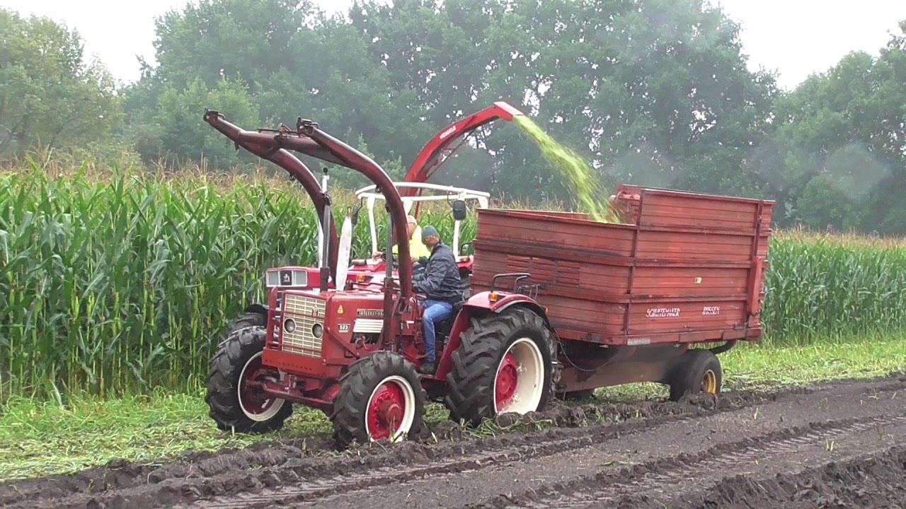 Feldtag Nordhorn 2017 Maishäckseln mit IHC 1246 523A 946 956