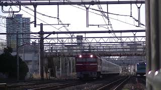 EF81-134+E257系9B 西川口通過