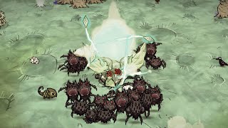 The Peak Of Webber Gameplay Celestial Champion X Webber No Spider Queens, No Speed Buffs - Dst