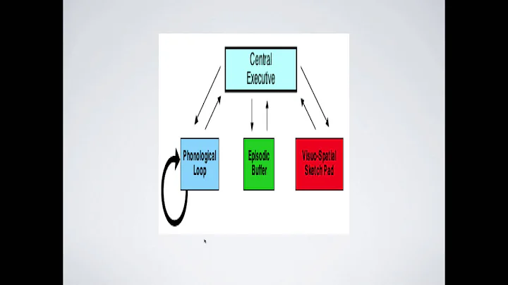 The Working Memory Model