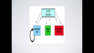 The Working Memory Model