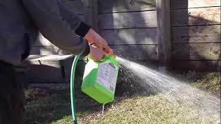 Applying a clay breaker to the soil // Sir Walter Buffalo Lawn Journey