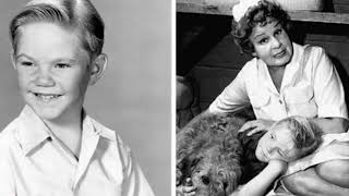 The Tragic Death Of Bobby Buntrock, Young Star of TV's "Hazel"