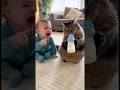 猫にミルクを飲まれてしまい泣いてしまう赤ちゃん👶🐈#cat #cats #baby #cute #funny #shorts #catvideos #赤ちゃん #猫のいる暮らし