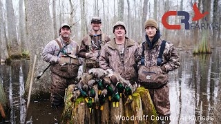 Cache River Farms: Late Season Mallards, January 2020