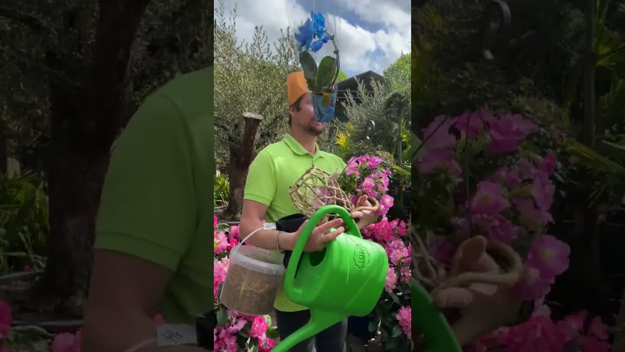 CHAOS in het tuincentrum?! Alleen maar DAGDEALS!