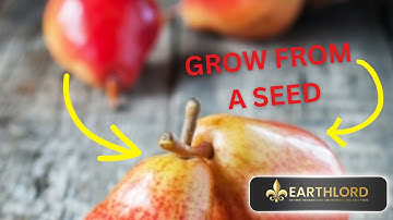 This Is How You Can Grow A Red D