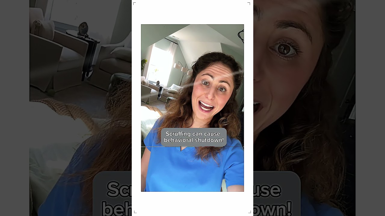 Debunking Cat Myths! - "SCRUFFING"