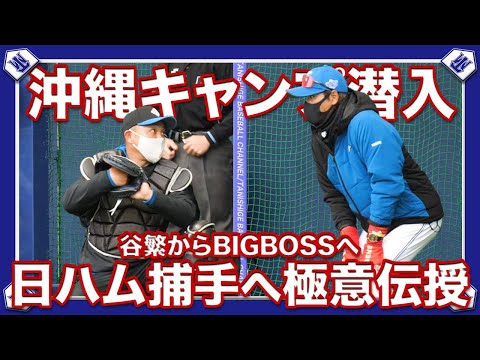 【BIGBOSS】北海道日本ハムファイターズキャンプに潜入！！谷繁の捕手の極意を選手に伝授。【ファイターズ】
