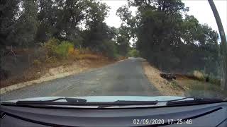 Sürekli Karşıma Çıkan Sincap