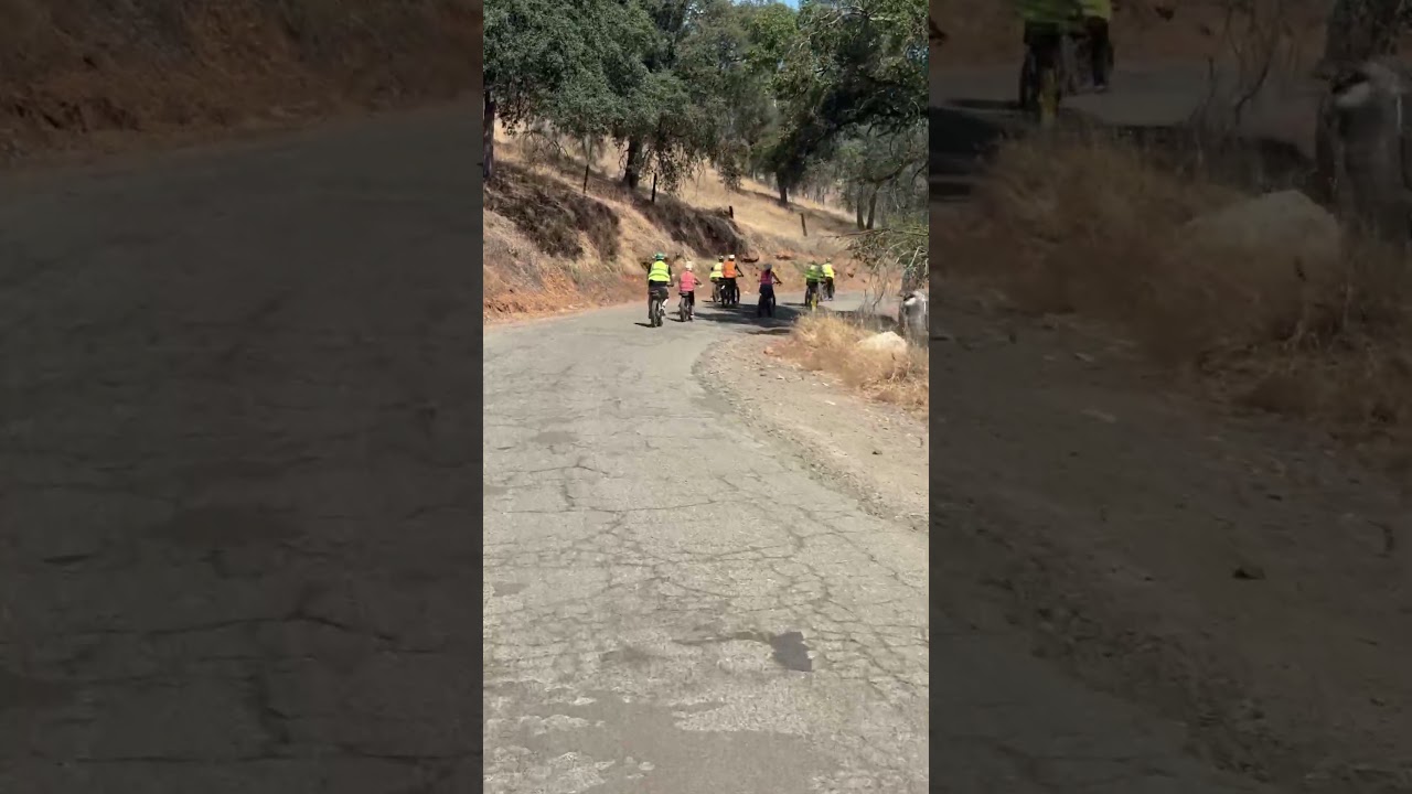 Another wonderful e-bike tour in Mariposa!