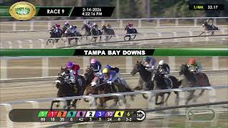 February 14, 2026  Race 9