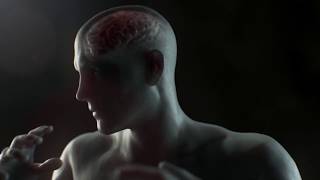 Zebra Medical Vision - The Future of Medical Imaging