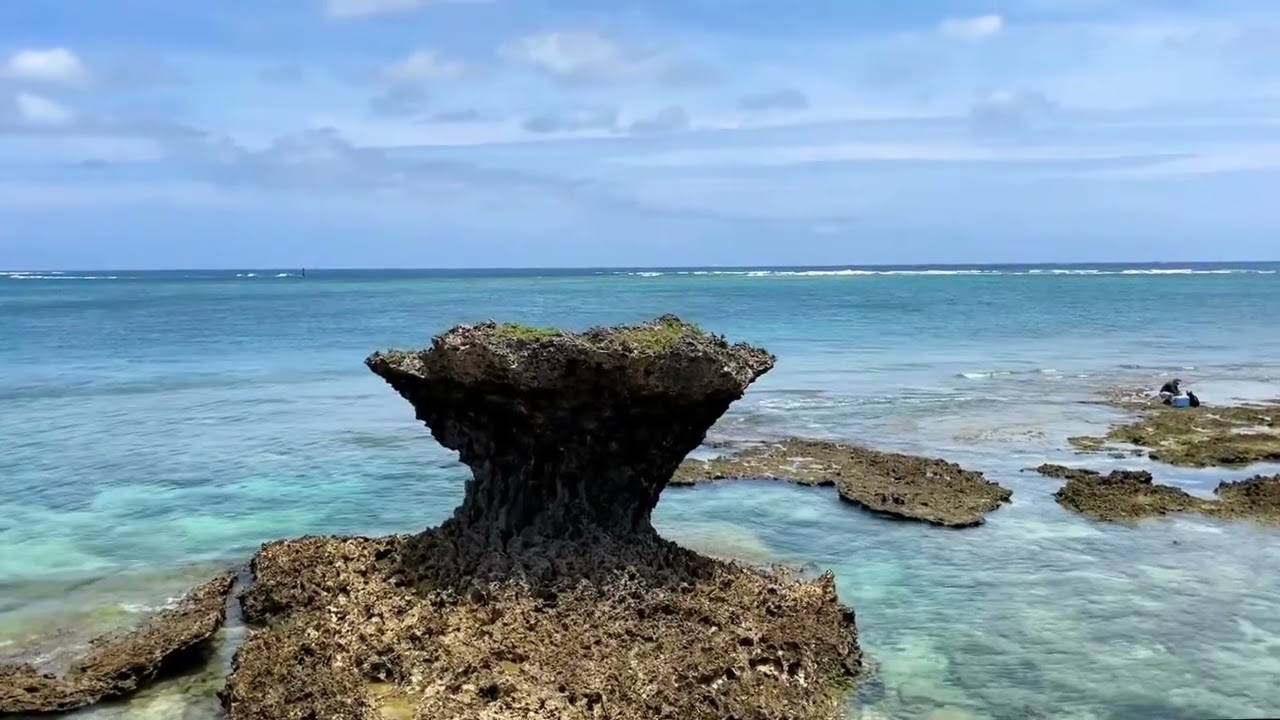 maxresdefault.jpg?sqp=-