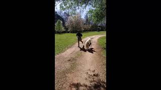 Healing Path Farm - Intro (Athens, Georgia)