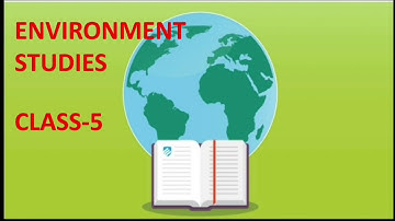 Class 5 Ch 24 knowing about users of computer Q3,Q4