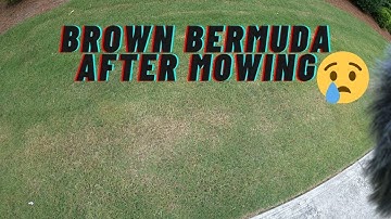 Why does my bermuda grass turn brown after mowing and the easy fix