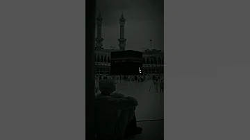 يا طيبة جئتك صبا ماهر زين 