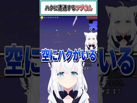 ハクに遭遇するフブさん【大空スバル/白上フブキ/大神ミオ/兎田ぺこら/ホロライブ切り抜き】 #shorts #vtuber #ホロライブ切り抜き