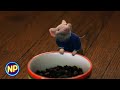 Stuart Little 1999 Official Trailer 