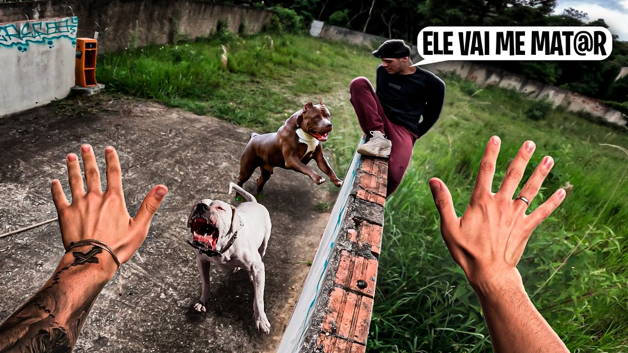 FOMOS AT4CAD0S DURANTE A FUG4 DO CASTEL0 DA MAÇ0N4RIA…💀