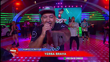 Yerba Brava en Pasion de Sabado 28 4 2018