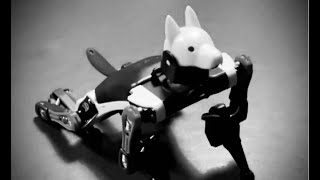 Vorlesung 0: Einführung in die Informatik @ Universität Bamberg