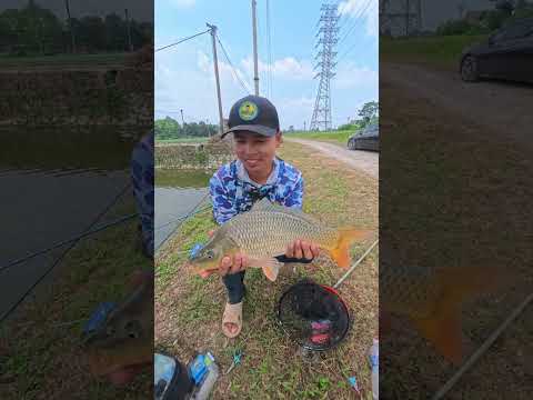 Hồ câu mới mở, - Phú Bình, Thái Nguyên