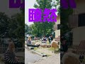 このあとジンギスカンに行きました - 夕方と猫 #fyp #newmusic #邦ロック #夕方と猫 #気になっちゃう